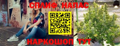 стафф Тверь