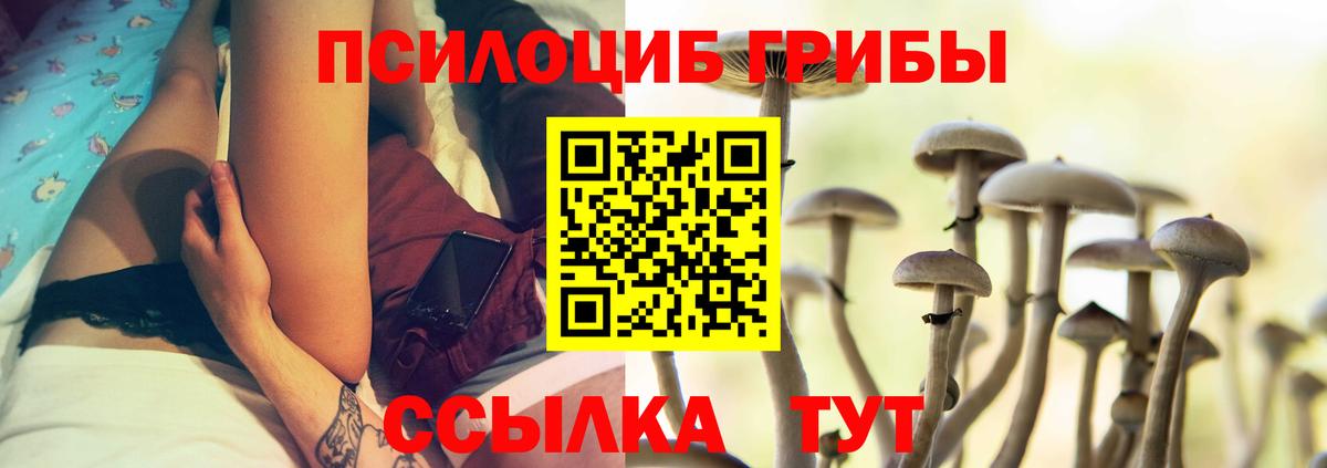 Галлюциногенные грибы Psilocybe Нижний Тагил